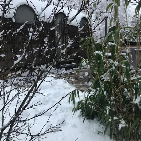 Cabane En Bois Avec Bain Nordique Et Sauna Marigny  Exterior photo